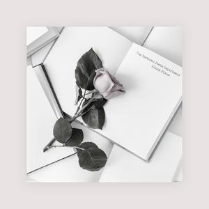 黄色视频男人舔女人下面
